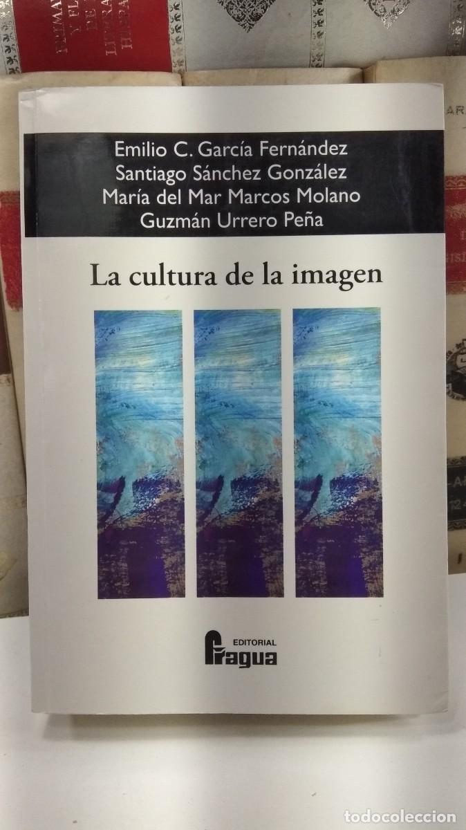 Second hand books: LA CULTURA DE LA IMAGEN. Emilio C. Garc&iacute;a Fern&aacute;ndez y otro/as. Editorial Fragua. 2006.