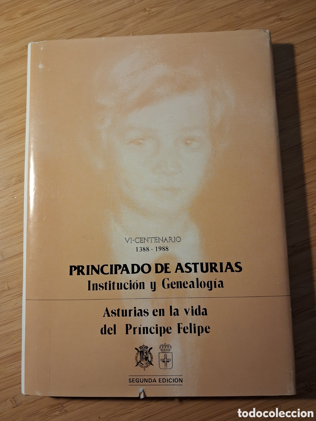 Gebrauchte B&uuml;cher: Principado de Asturias: instituci&oacute;n y genealog&iacute;a. Asturias en la vida del Pr&iacute;ncipe Felipe - VVAA