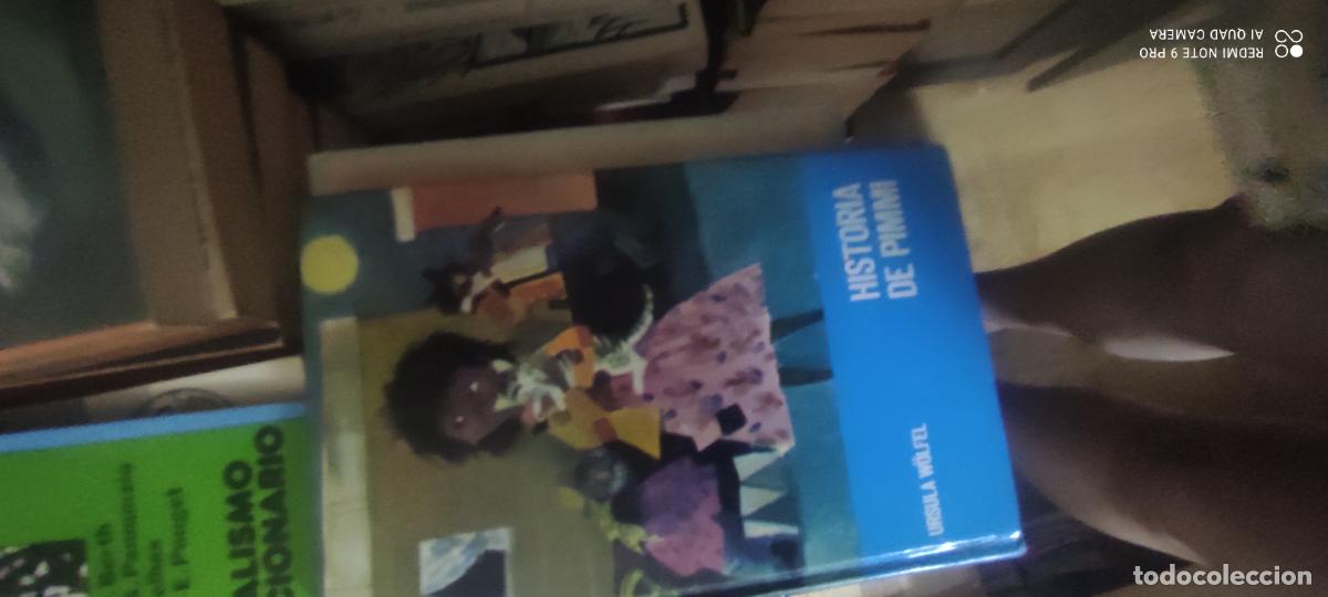 Libros de segunda mano: HISTORIA DE PIMMI / URSULA W&Ouml;LFER / NOGUER