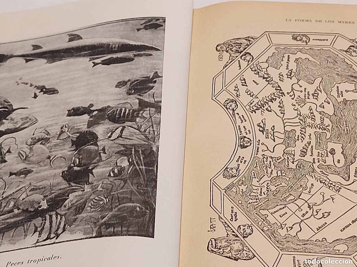 Libros de segunda mano: EL LIBRO DE LOS SIETE MARES | PETER FREUCHEN Y DAVID LOTH | CARALT 1959 - Foto 4