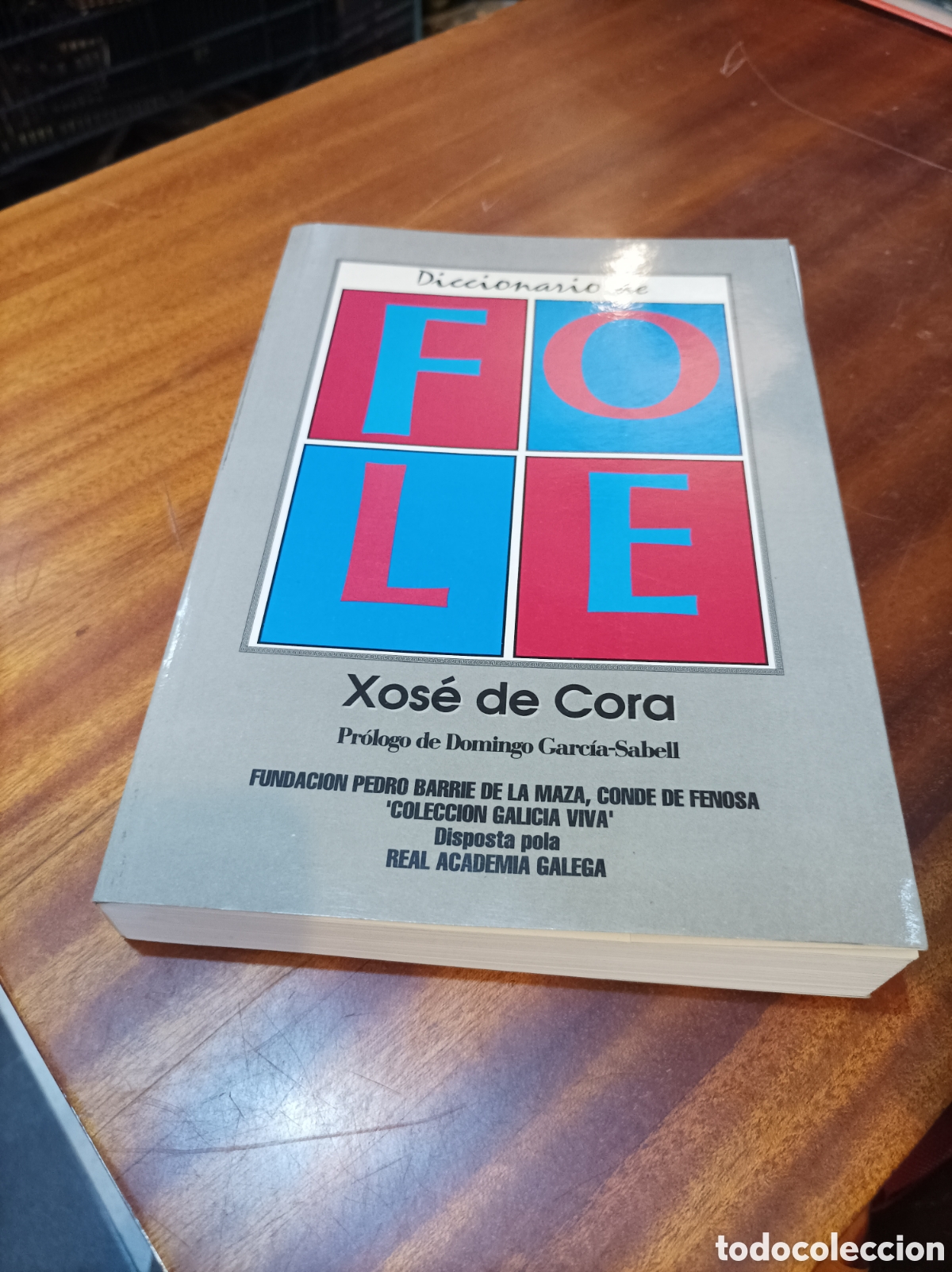 Libri di seconda mano: DICCIONARIO DE FOLE.GUIA PARA NAVEGAR POLA VIDA E AS OBRAS DE FOLE.XOSE CORA