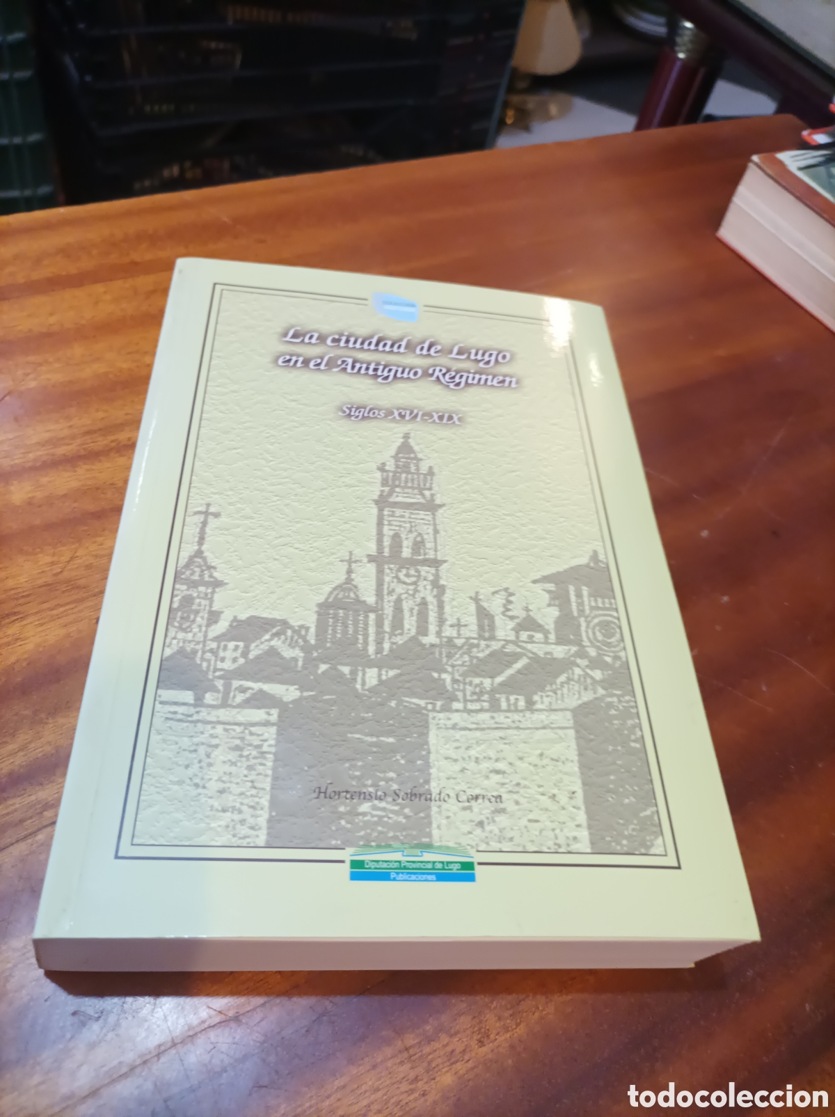 Libros de segunda mano: LA CIUDAD DE LUGO EN EL ANTIGUO R&Eacute;GIMEN.SIGLOS XVI-XIX..HOTENSIO SOBRADO CORREO.2001