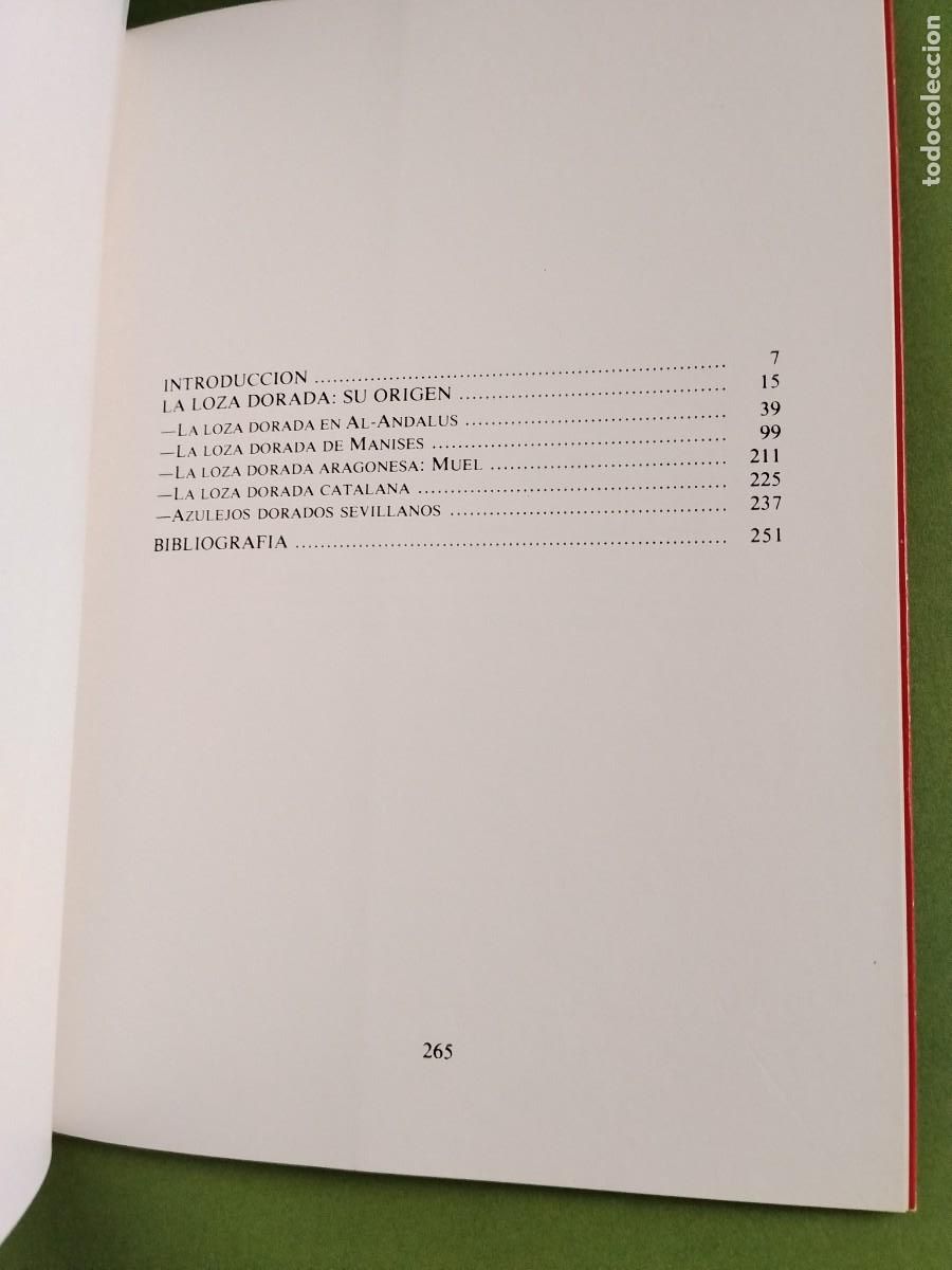 Libros de segunda mano: LA LOZA DORADA - Balbina Mart&iacute;nez Cavir&oacute; - Foto 11