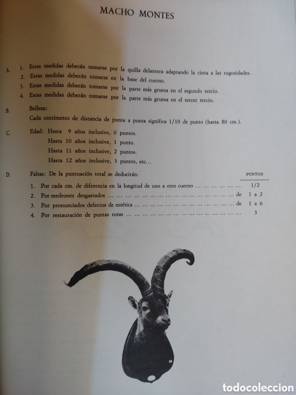 Libros de segunda mano: Acteon ( armas, municiones, bal&iacute;stica - Foto 4
