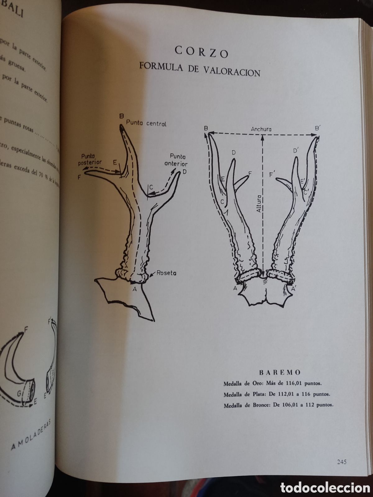Libros de segunda mano: Acteon ( armas, municiones, bal&iacute;stica - Foto 7