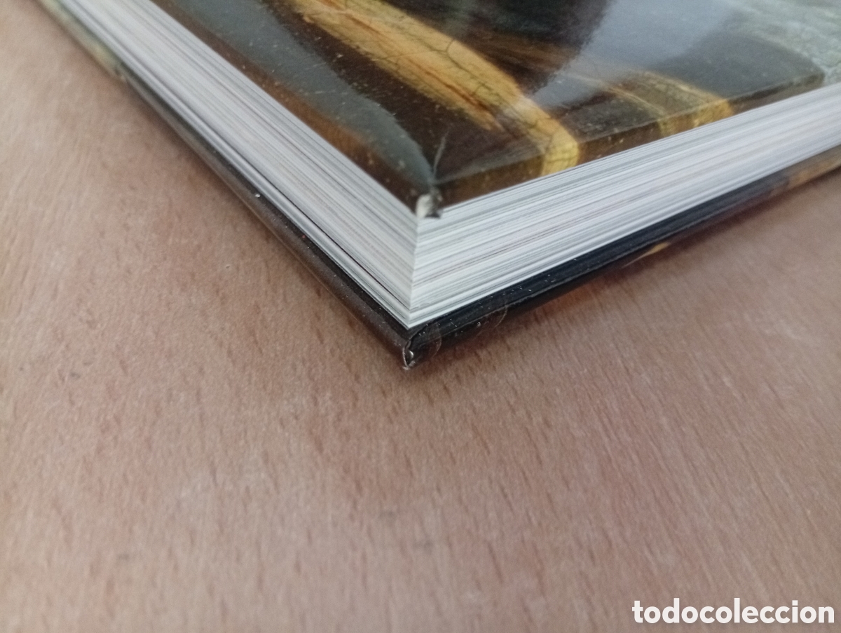 Libros de segunda mano: JOYAS DEL ARTE. AA.VV. Editorial Planeta - Foto 27
