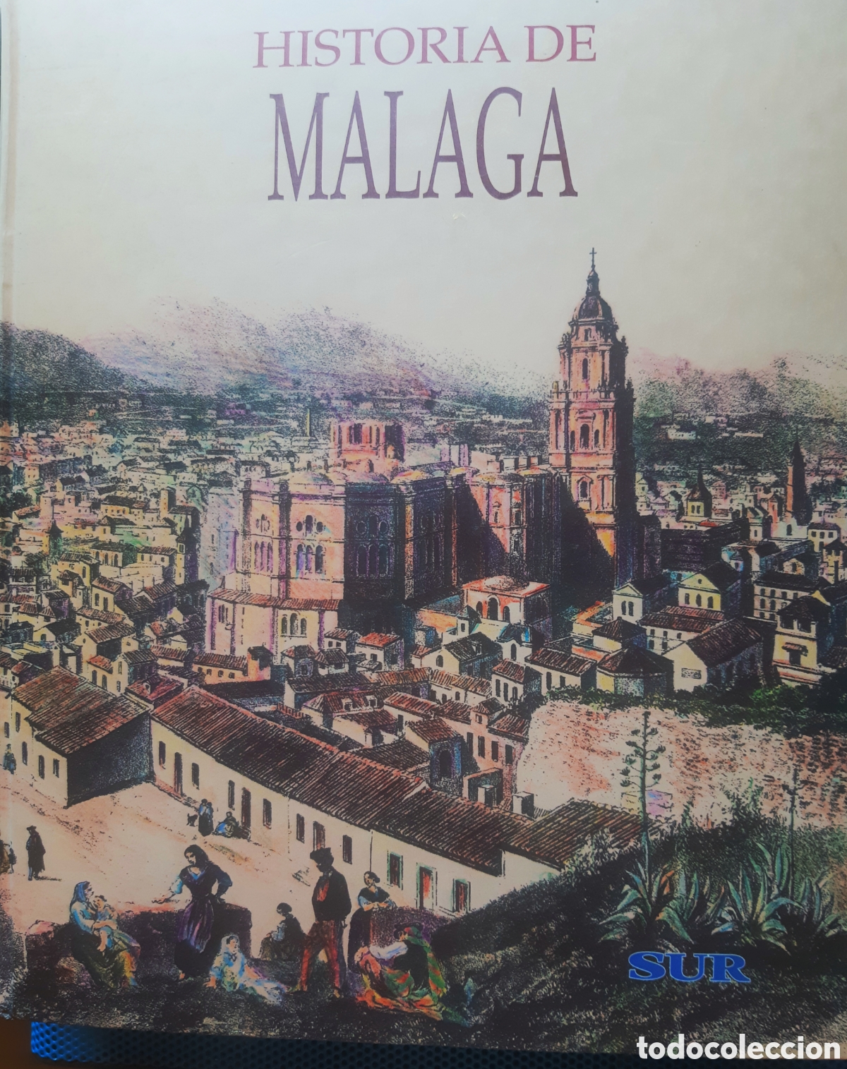 Libros de segunda mano: Historia de Malaga, Diario Sur. 2 Vols.