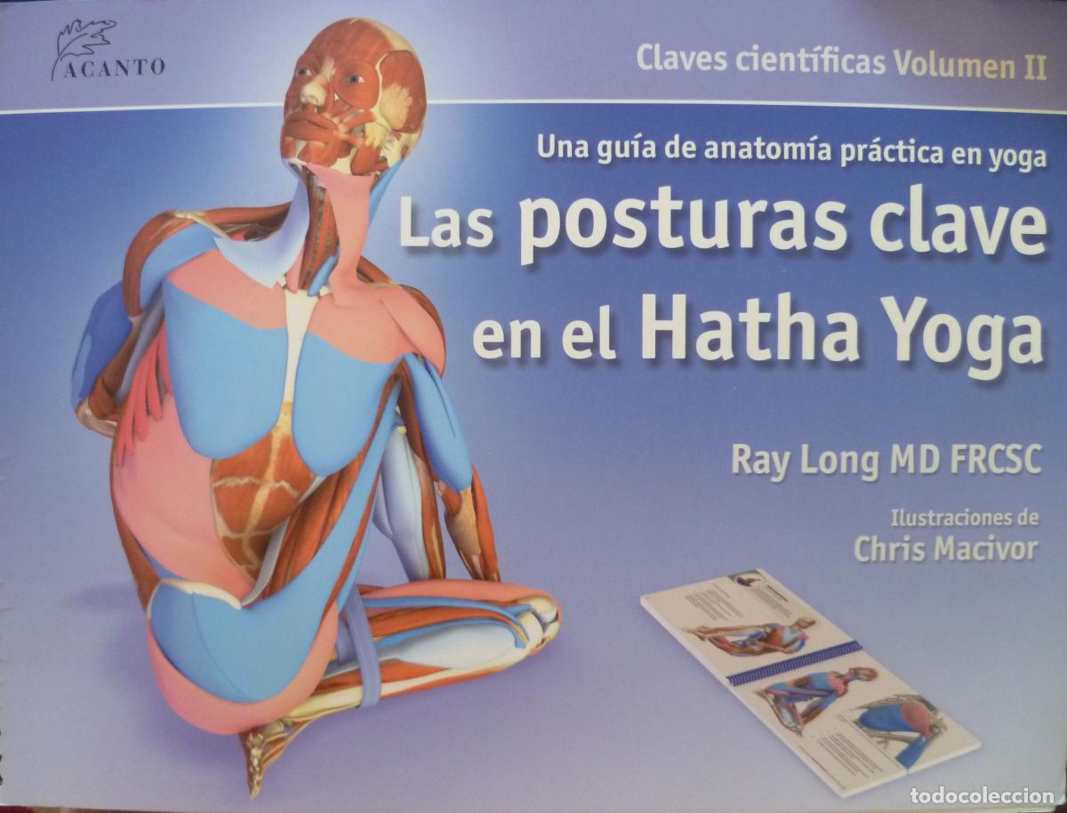 Libros de segunda mano: Las posturas clave en el hatha yoga (SIN COLECCION)