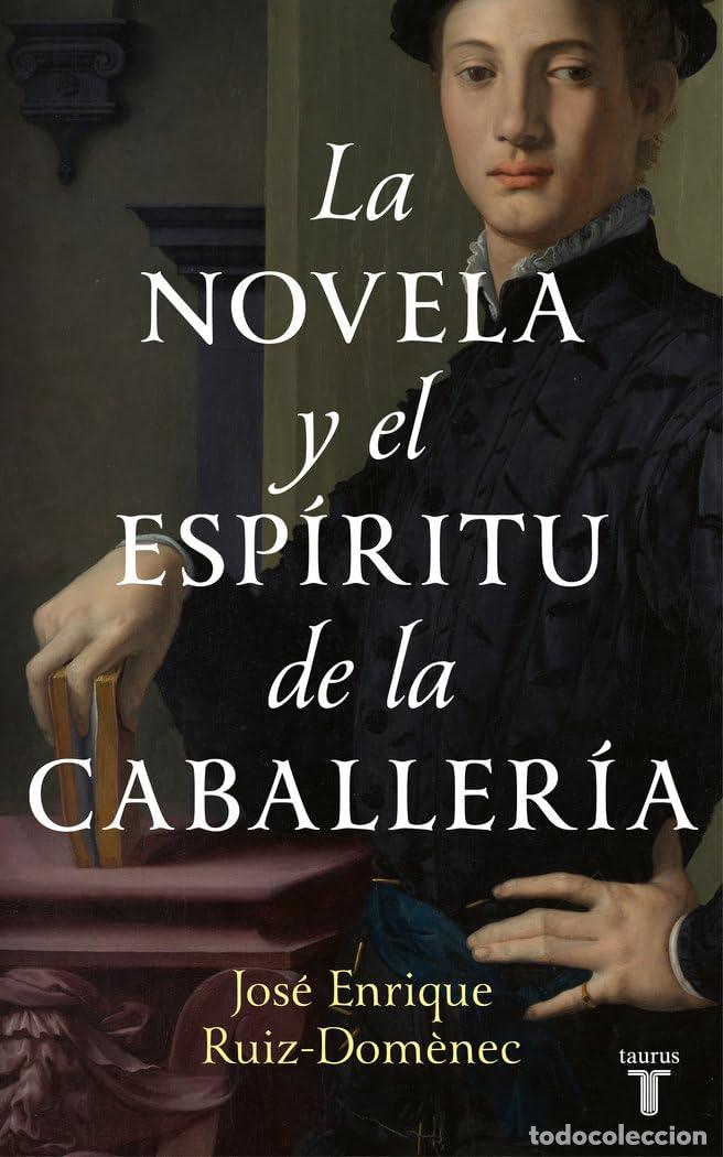 Gebrauchte B&uuml;cher: La novela y el esp&iacute;ritu de la caballer&iacute;a (Lengua y Literatura)