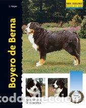 Libri di seconda mano: Boyero de Berna (Excellence-Raza especial)