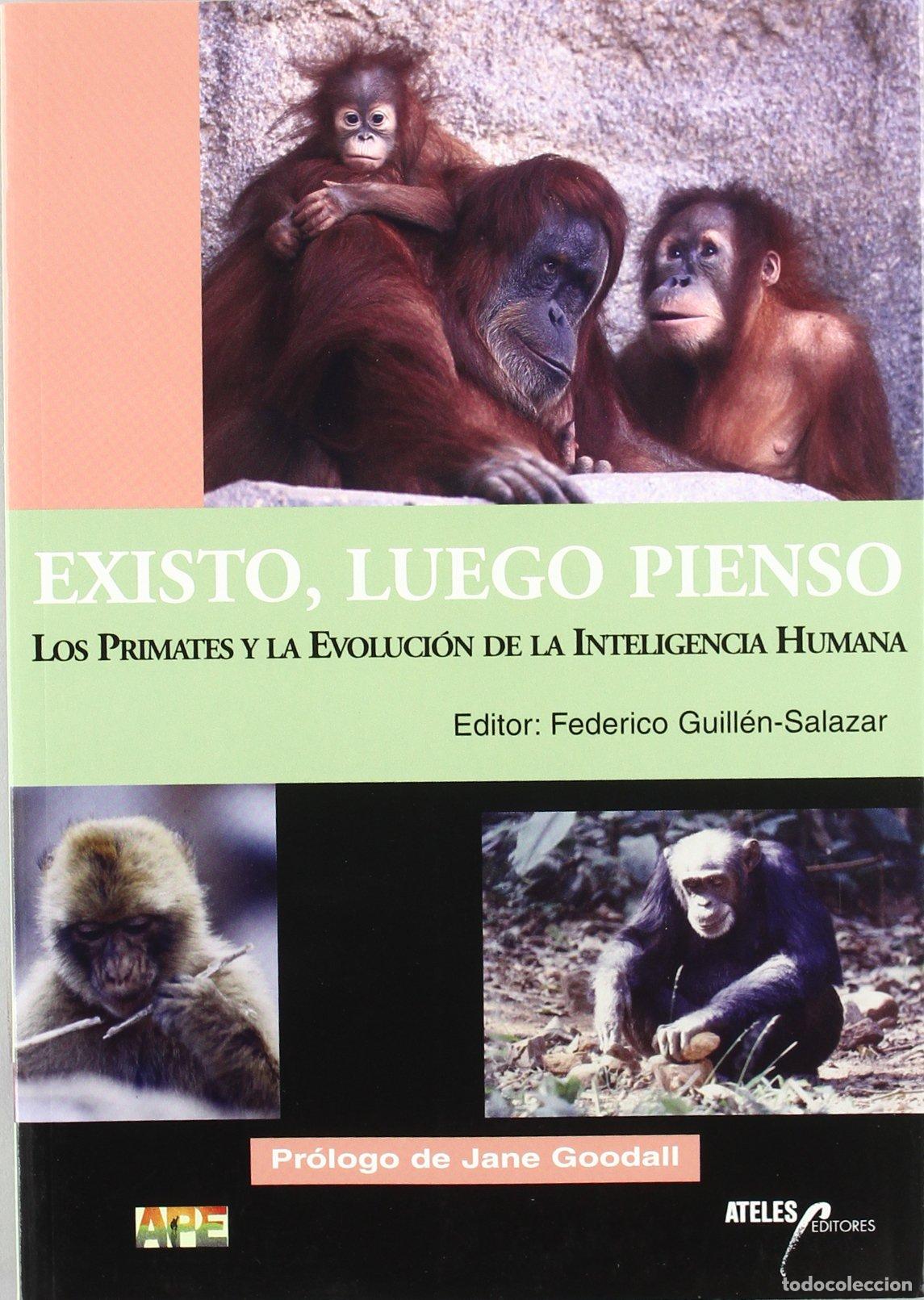 Libros de segunda mano: Existo, luego pienso : los primates y la evoluci&oacute;n de la inteligencia humana