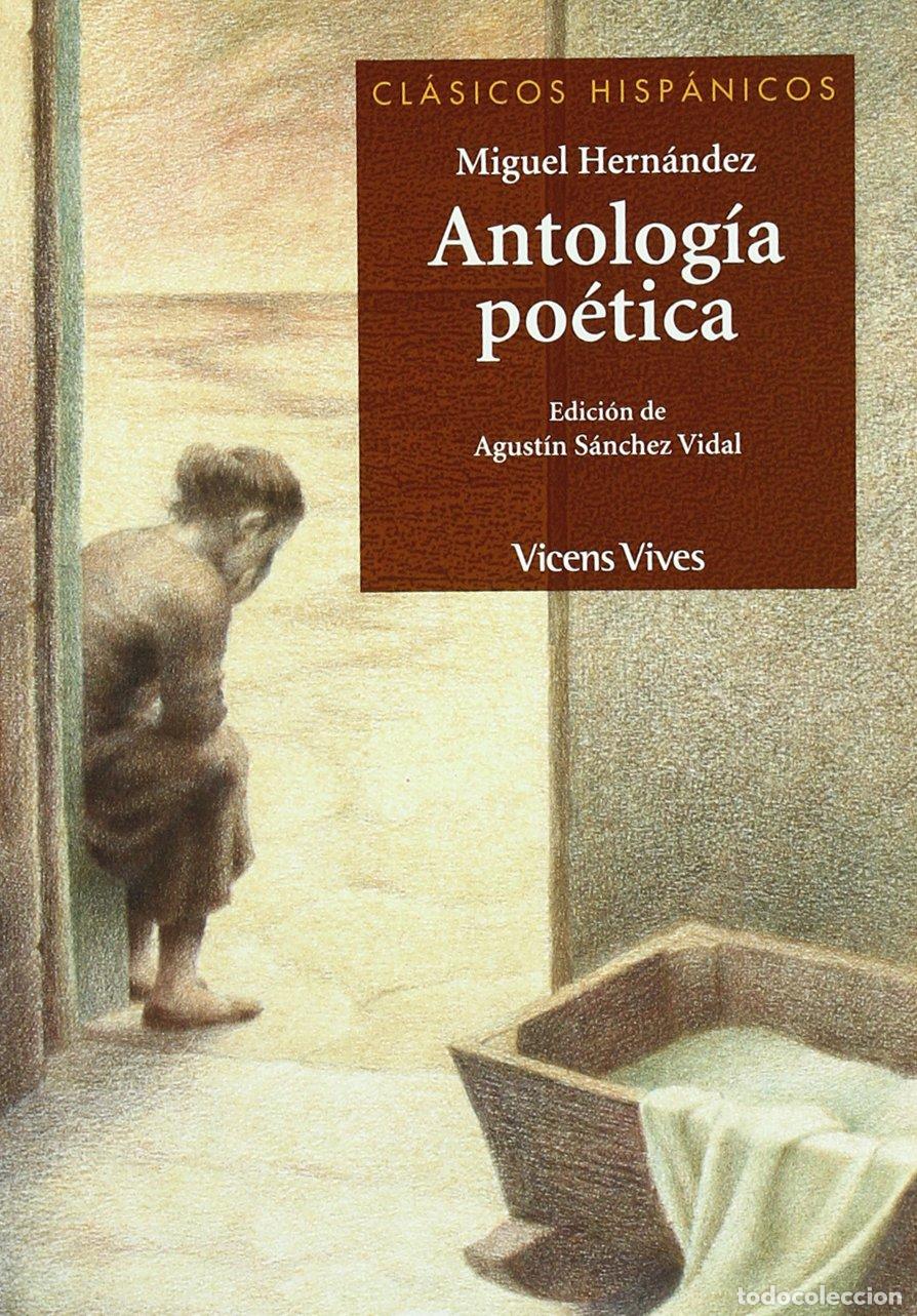 Libri di seconda mano: Antologia Poetica Miguel Her. N/c (Cl&aacute;sicos Hisp&aacute;nicos) - 9788431632267