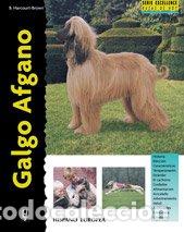Libros de segunda mano: Galgo Afgano (Excellence) - Foto 1