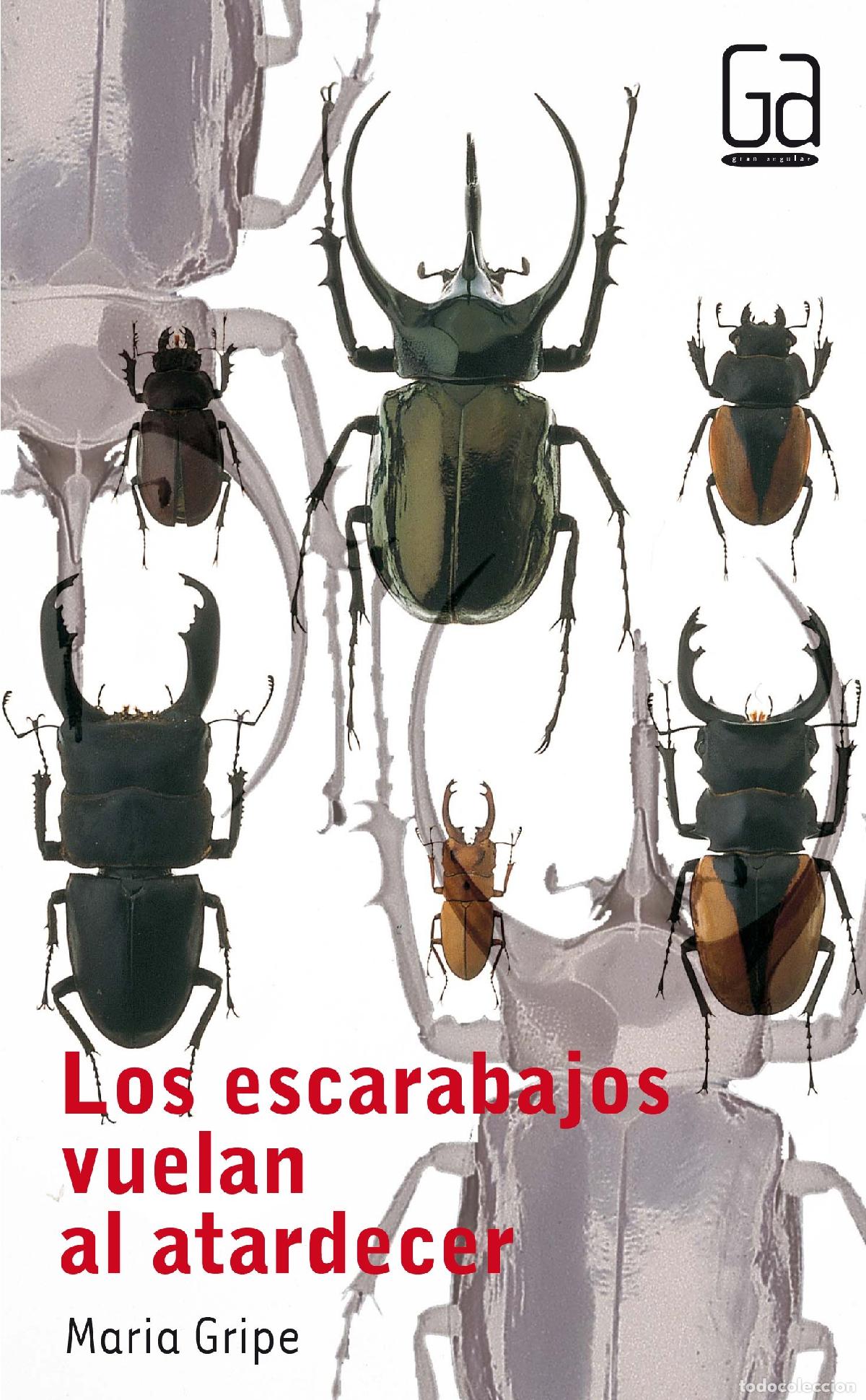 Libros de segunda mano: Los escarabajos vuelan al atardecer: 31 (Gran Angular) - Foto 1