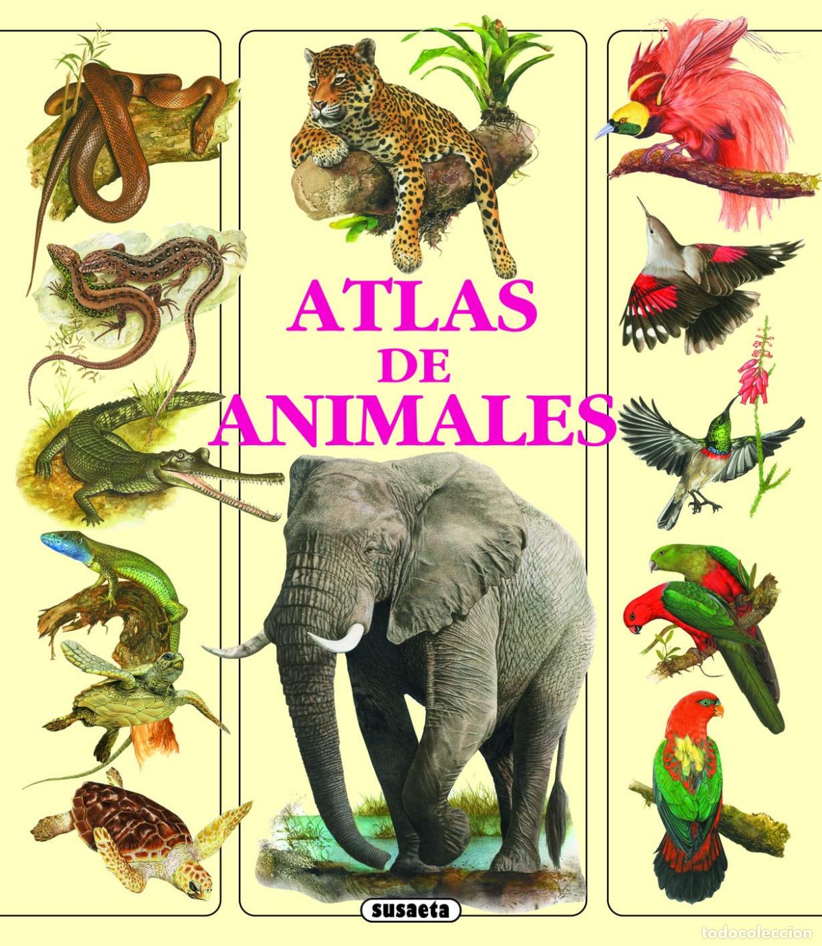 Libri di seconda mano: Atlas De Animales (Cartone-Grande)