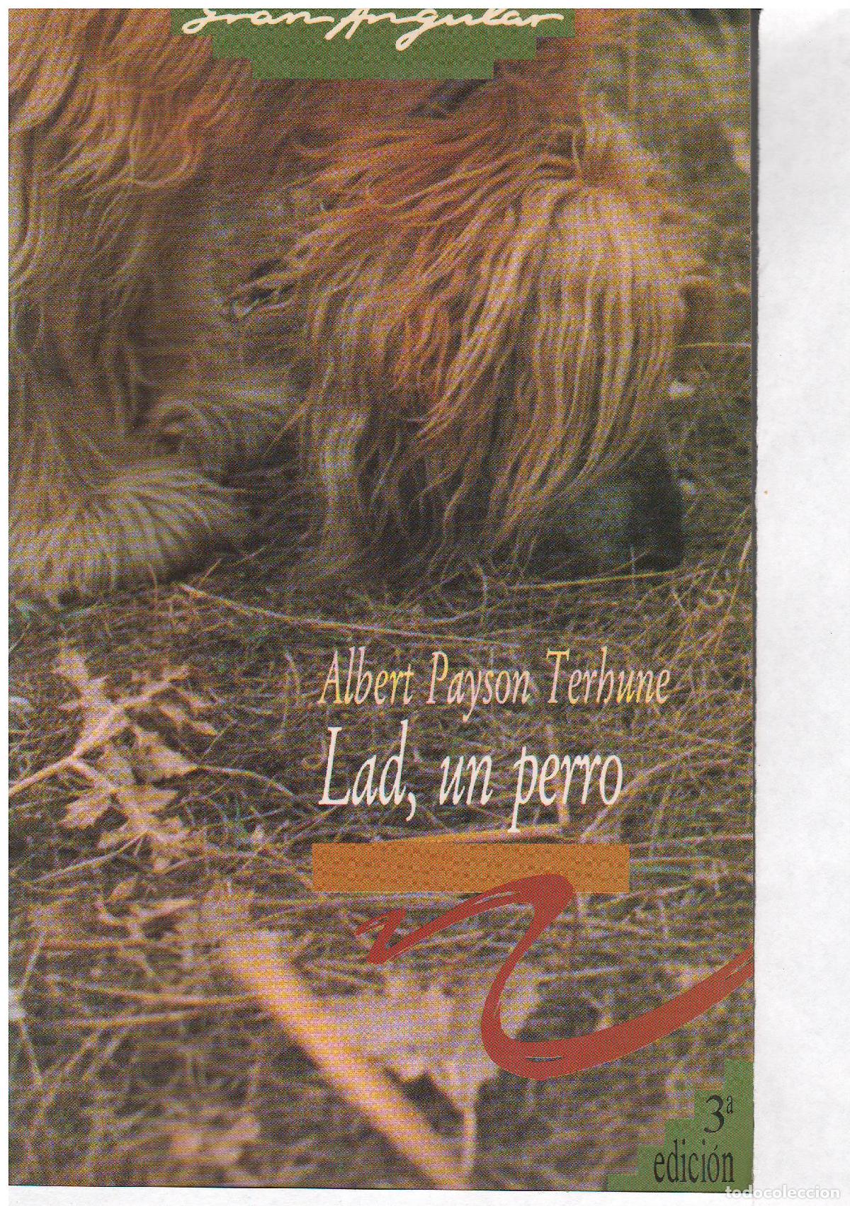 Libros de segunda mano: Lad, un perro (Gran Angular) - Foto 1