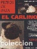 Libros de segunda mano: El carlino - Simone, Mar&iacute;a Luisa - Foto 1