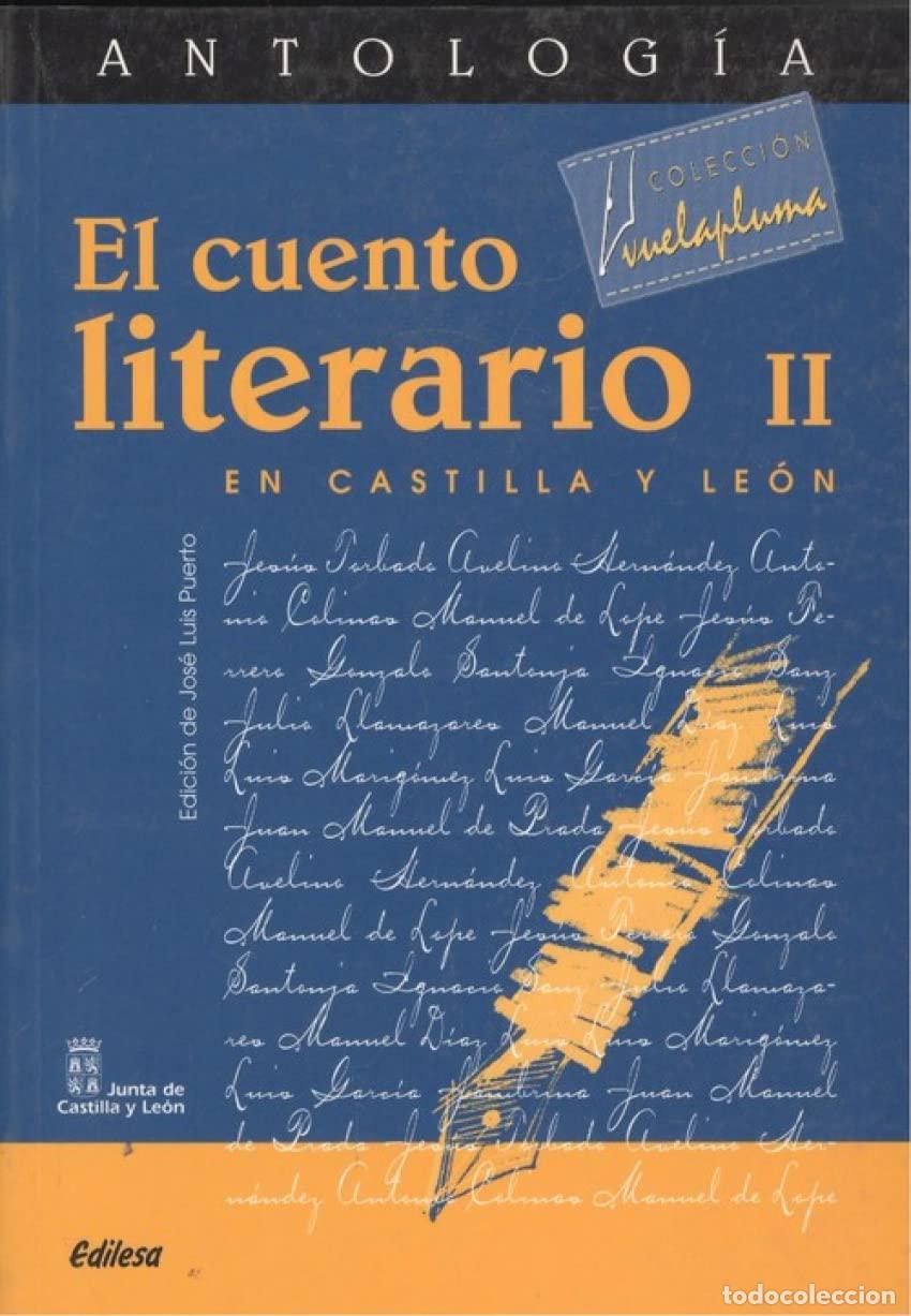 Libri di seconda mano: Cuento literario en Castilla y Le&oacute;n II antologia