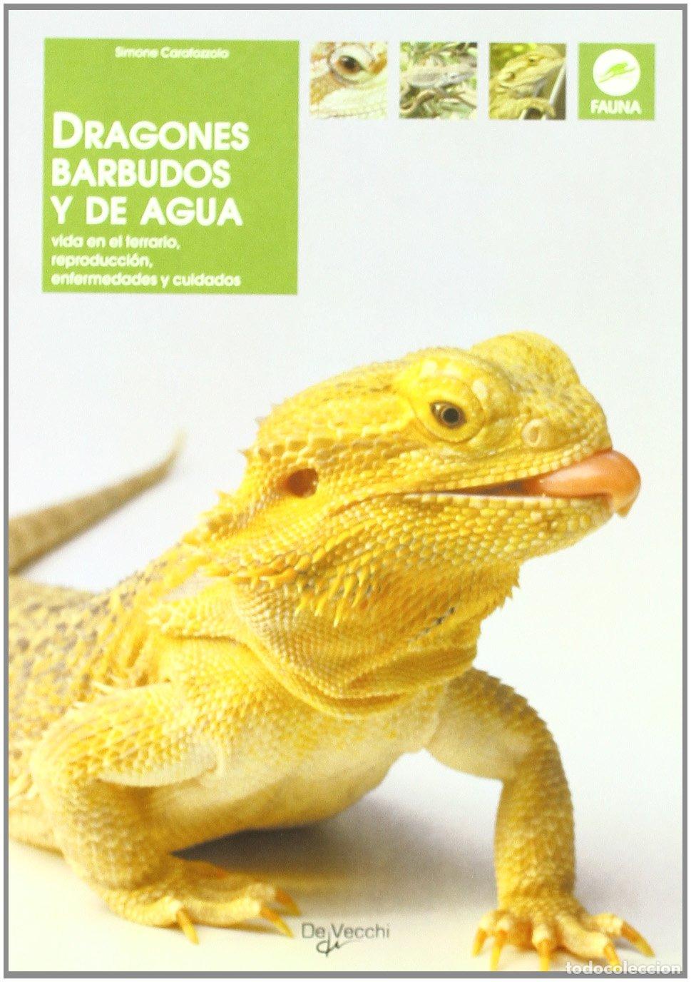 Libros de segunda mano: Dragones barbudos y de agua (Animales) - Foto 1
