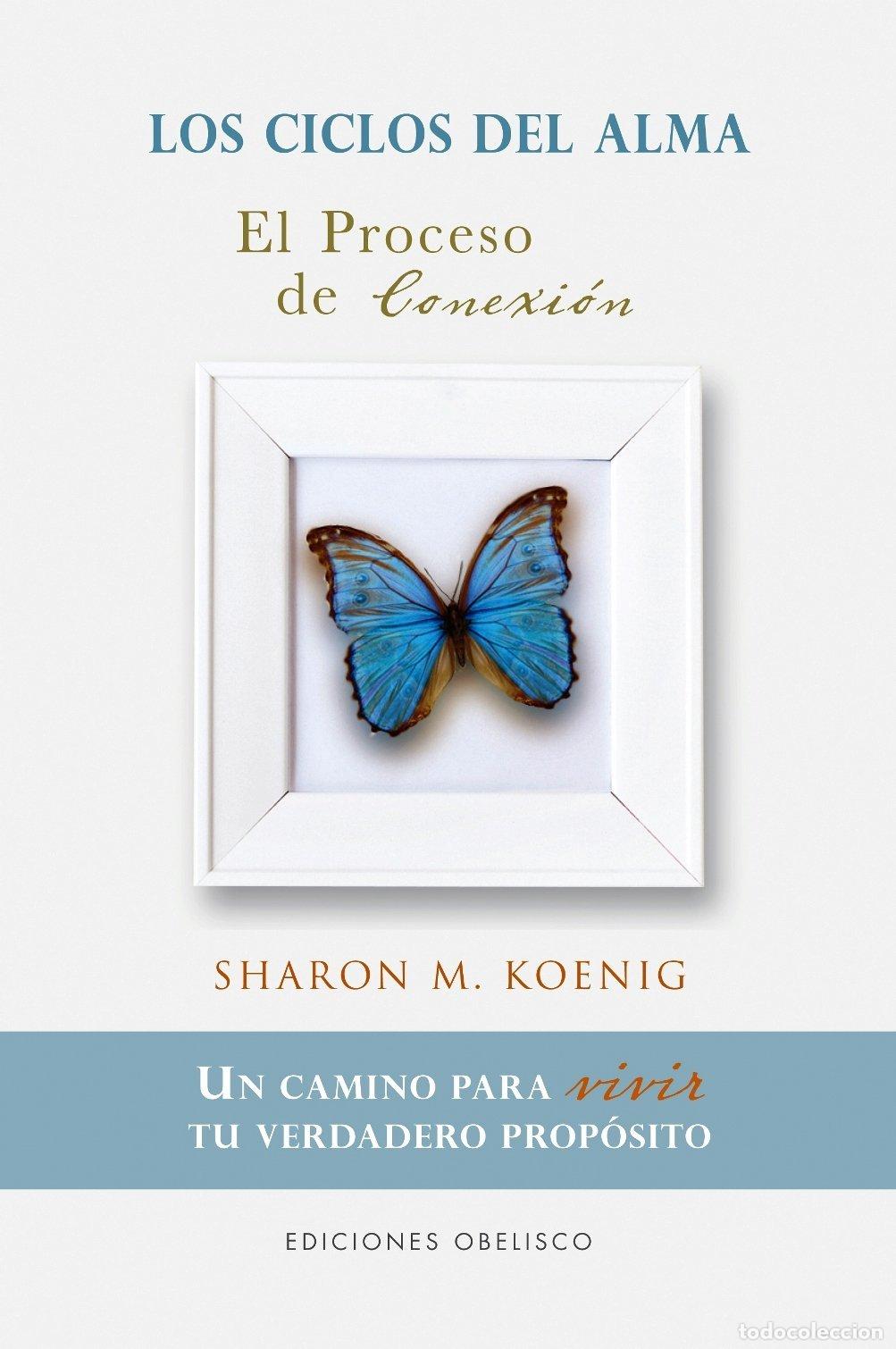 Libros de segunda mano: Proceso De Conexi&oacute;n, El - Foto 1