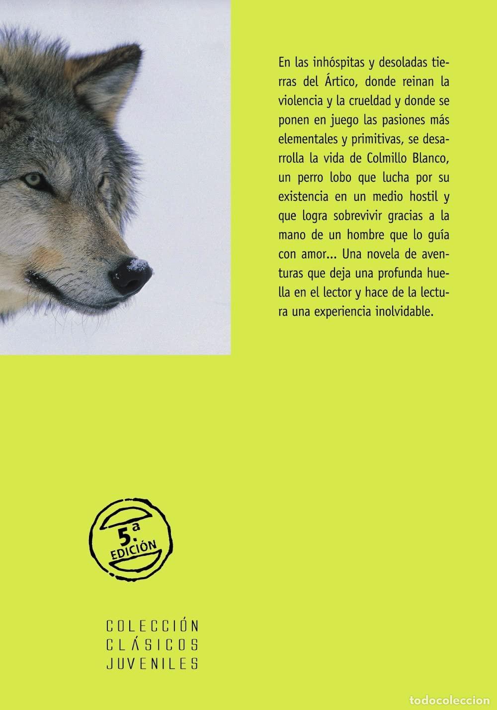 Libri di seconda mano: Colmillo Blanco (Castellano - A PARTIR DE 12 A&Ntilde;OS - CL&Aacute;SICOS JUVENILES)