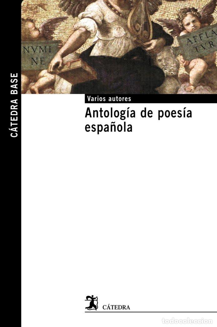 Libros de segunda mano: Antolog&iacute;a de poes&iacute;a espa&ntilde;ola: 28 (C&aacute;tedra base)