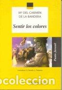 Libros de segunda mano: Sentir los colores: 68 (Punto Juvenil) - Foto 1