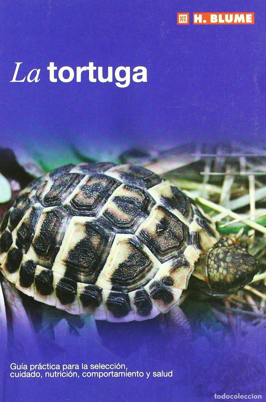 Libros de segunda mano: La tortuga: 10 (Mascotas) - Foto 1