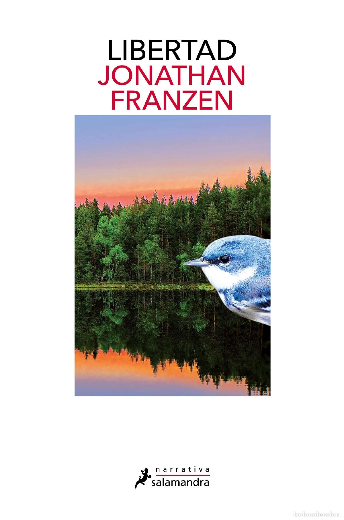 Libros de segunda mano: Libertad - Franzen, Jonathan - Foto 1