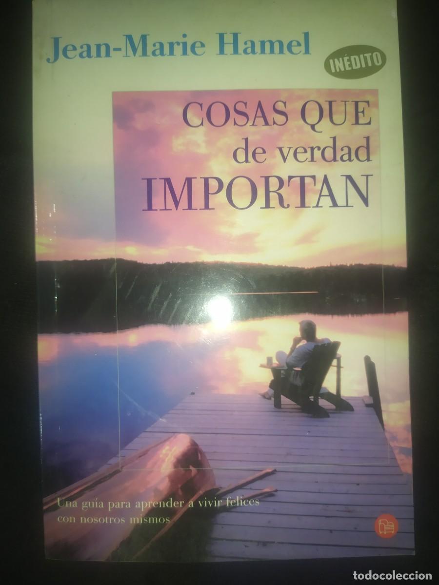 Libros de segunda mano: COSAS QUE DE VERDAD IMPORTAN - JEAN MARIE HAMEL