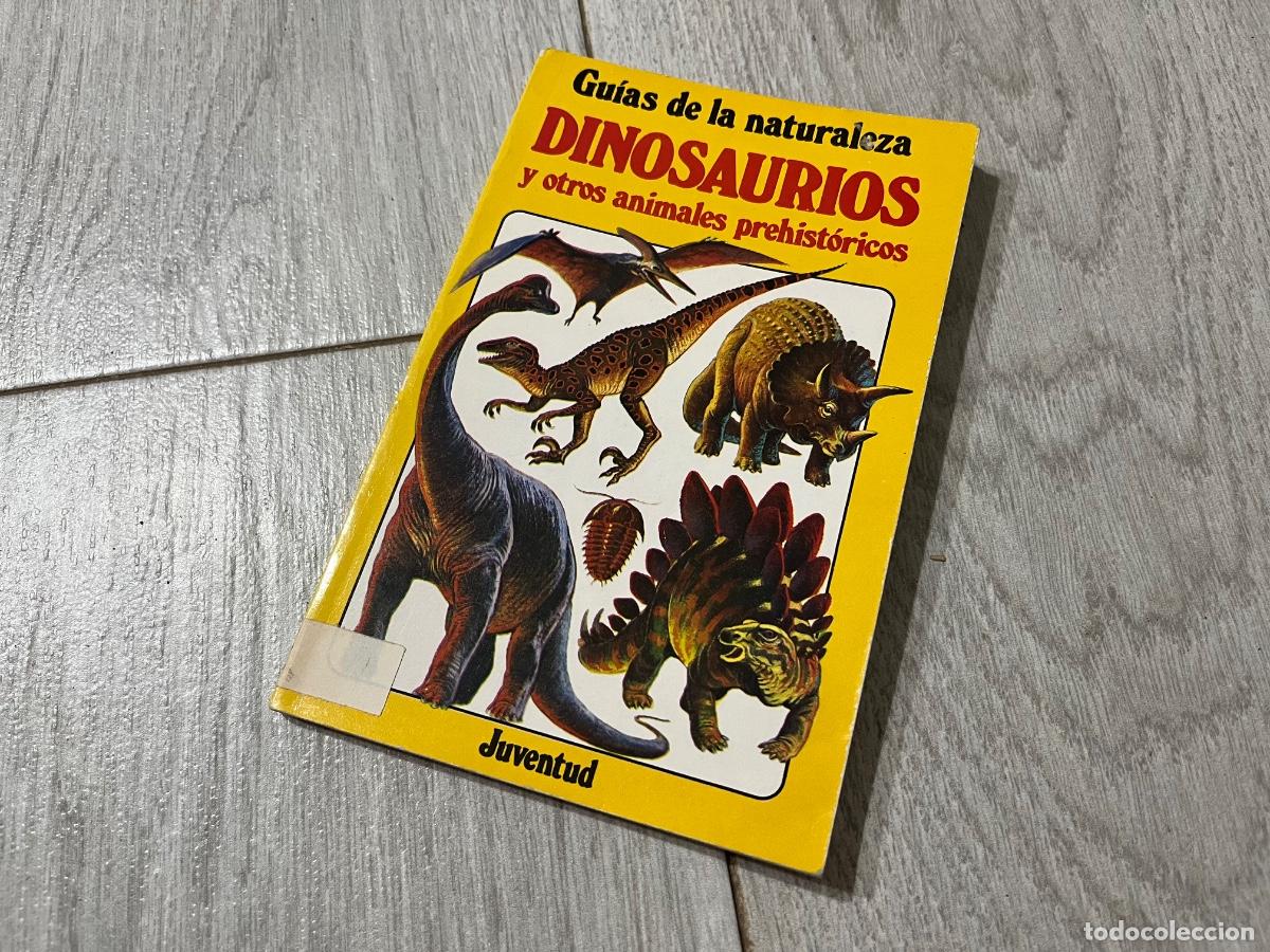Libri di seconda mano: Dinosaurios y otros animales prehist&oacute;ricos - Gu&iacute;as de la naturaleza - Juventud