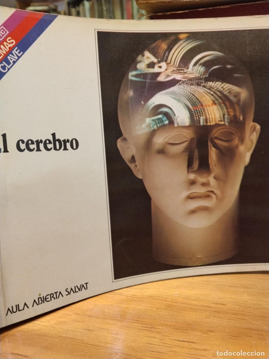 Libri di seconda mano: El cerebro. Aula abierta Salvat