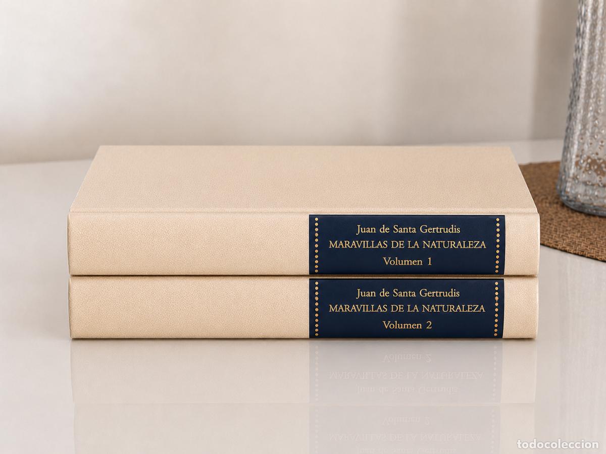 Libros de segunda mano: Fray Juan de Santa Gertrudis. Maravillas de la naturaleza. Obra completa. Cr&oacute;nicas de Indias Am&eacute;rica