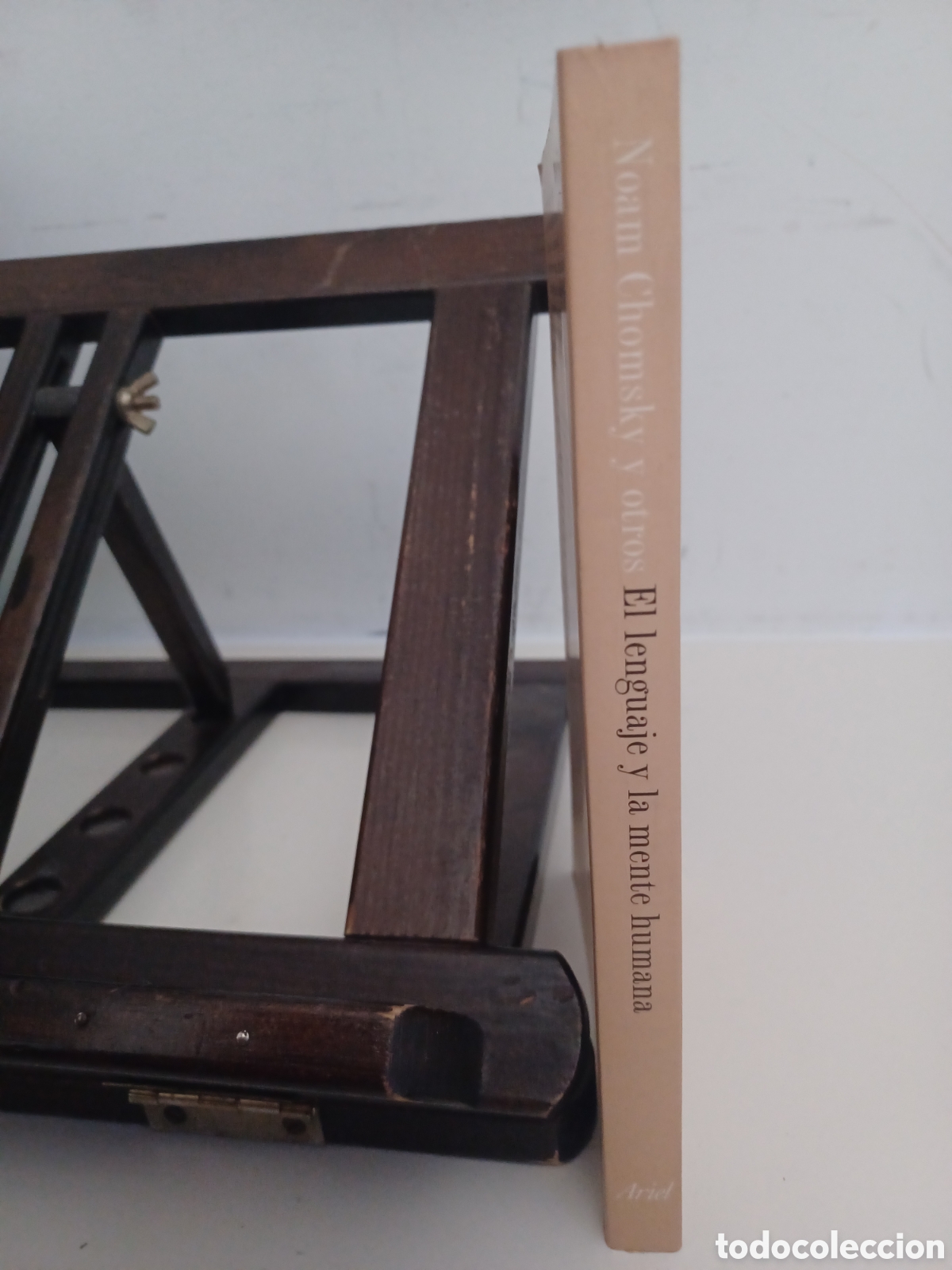 Libros de segunda mano: El lenguaje y la mente humana/ Norma Chomsky y otros/ Ariel Practicum, 2002 - Foto 3