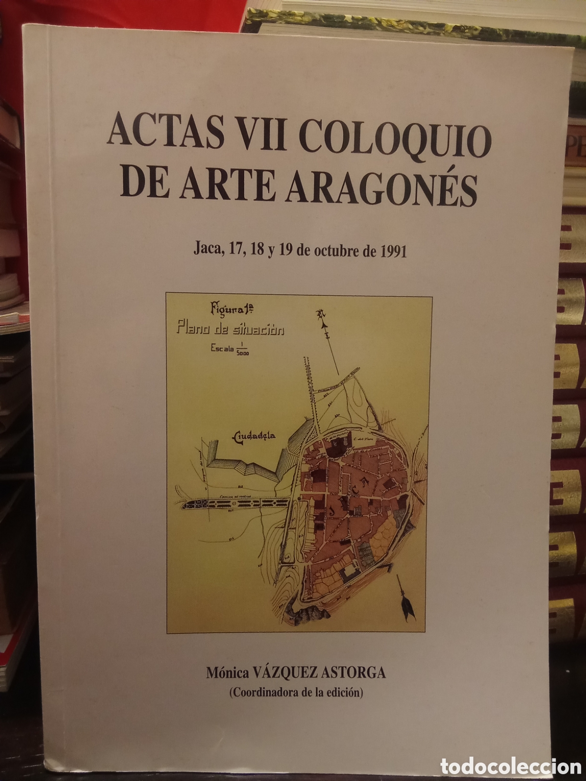 Libros de segunda mano: ACTAS VII COLOQUIO DE ARTE ARAG&Oacute;NES - Jaca 17, 18 y 19 de octubre de 1991 - M&oacute;nica V&Aacute;ZQUEZ ASTORGA