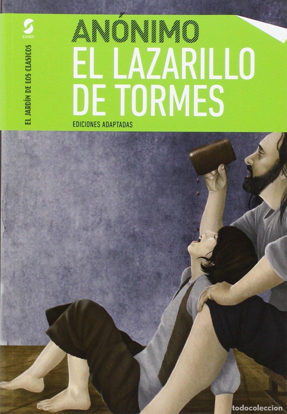 Libros de segunda mano: LAZARILLO DE TORMES (ADAPTACIONES) (JARDIN CLASICOS) (SIN COLECCION)