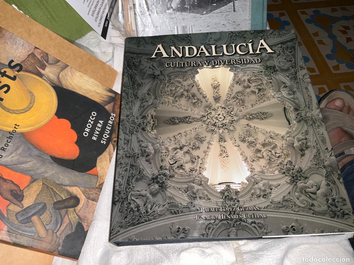 Libros de segunda mano: Andaluc&iacute;a. Cultura y diversidad. - Rafael L&oacute;pez Guzm&aacute;n. Ignacio Henares Cu&eacute;llar.