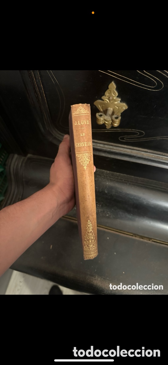 Libros de segunda mano: libro antiguo de &rdquo;Le Cerveau et ses Fonctions&rdquo; - Foto 9