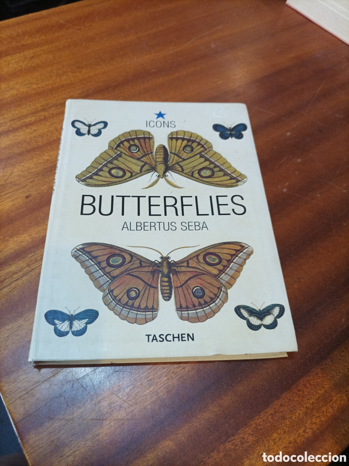 Libros de segunda mano: BUTTERFLIES.ALBERTUS SEBA.TASCHEN.