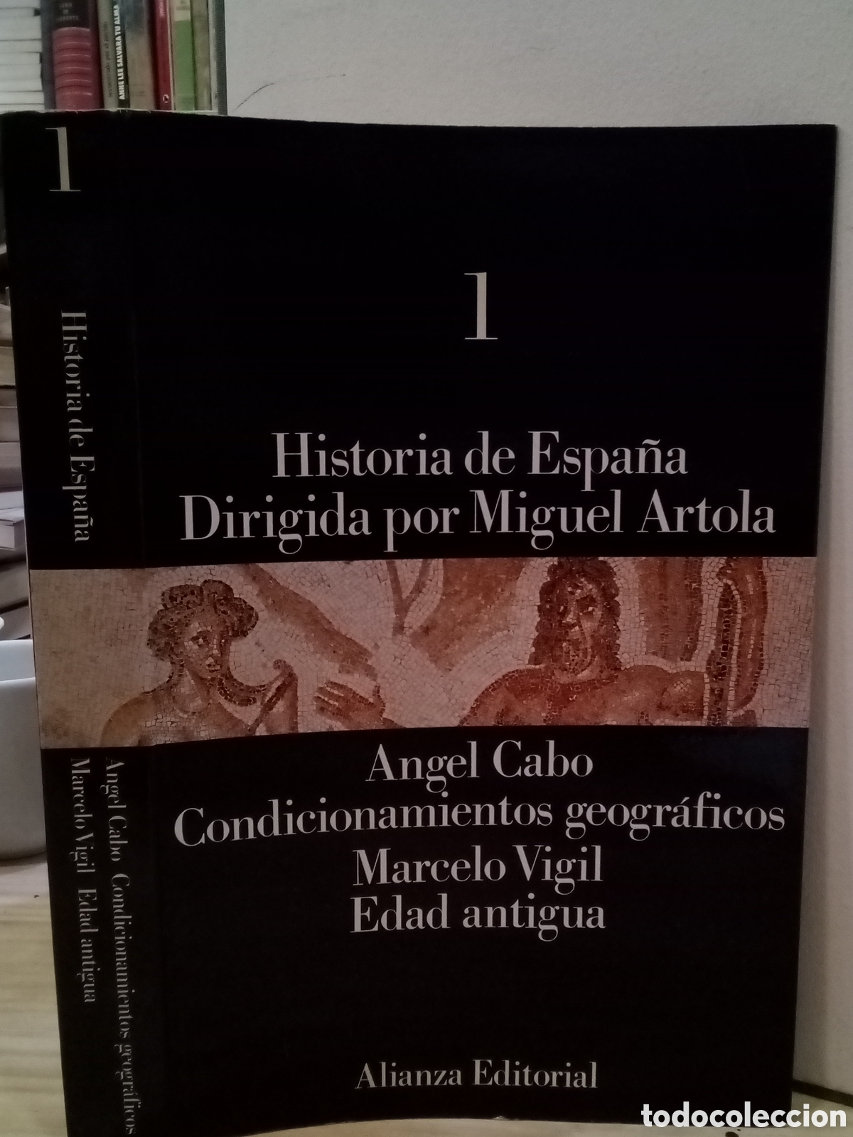Gebrauchte B&uuml;cher: Historia de Espa&ntilde;a. N&deg;1. Angel Cabo Condicionamientos geogr&aacute;ficos Marcelo Vigil Edad antigua