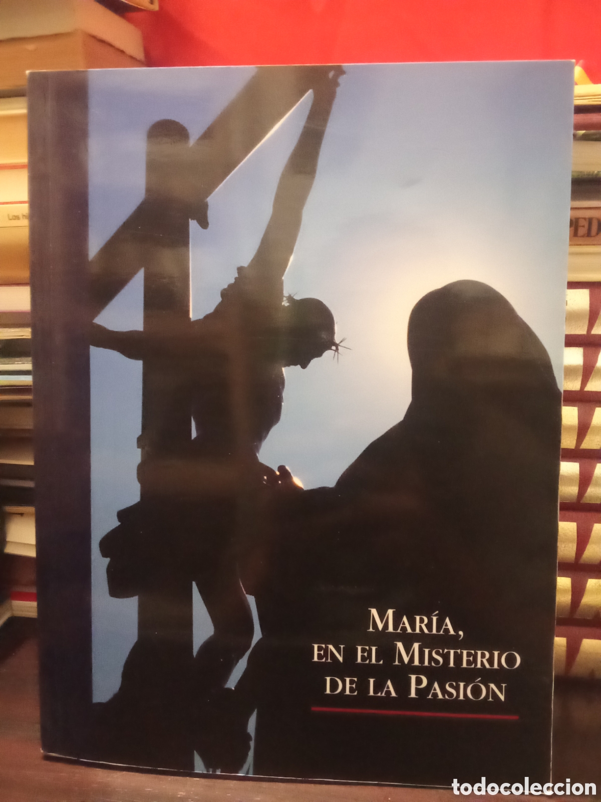 Second hand books: MAR&Iacute;A EN EL MISTERIO DE LA PASI&Oacute;N - LA LONJA - 2006. ZARAGOZA