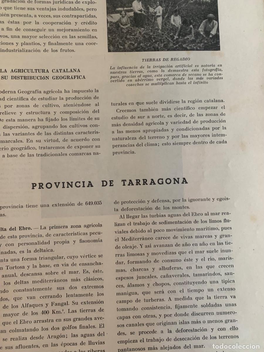 Libros de segunda mano: Catalu&ntilde;a Agr&iacute;cola, Barcelona 1943 - Foto 3