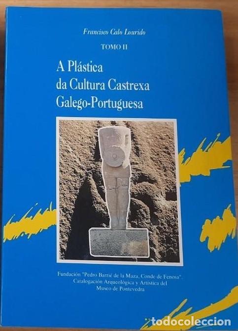 Libros de segunda mano: A Pl&aacute;stica Da Cultura Castrexa Galego-portuguesa II - Calo Lourido, Francisco - Fundaci&oacute;n Barri&eacute;