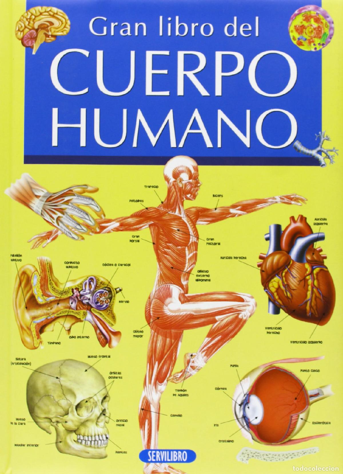 Libros de segunda mano: El cuerpo humano (GRAN LIBRO DE...)
