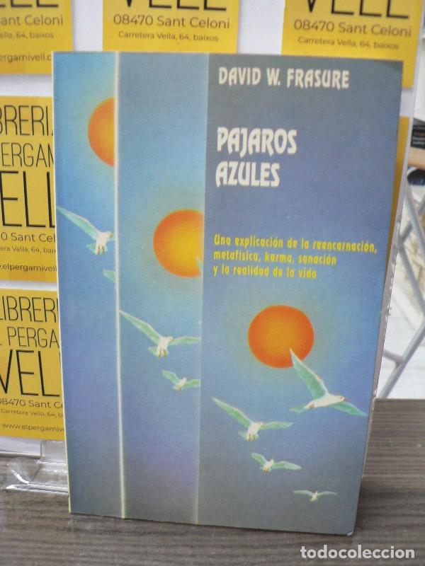 Libros de segunda mano: P&aacute;jaros Azules: Una Explicaci&oacute;n de la Reencarnaci&oacute;n Metaf&iacute;sica, Karma, Sanaci&oacute;n - 000 - Luis C&aacute;rcamo