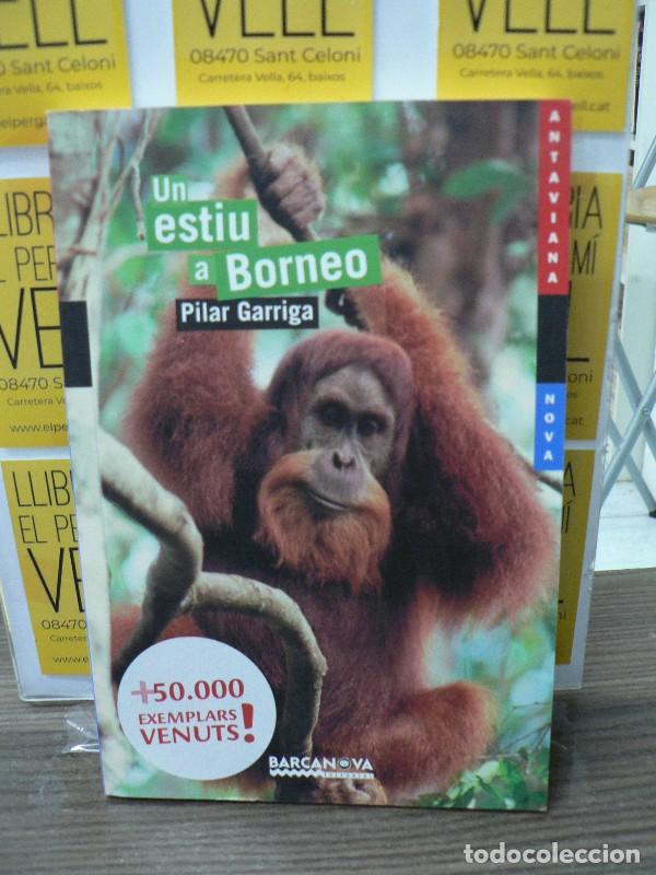 Libros de segunda mano: Un Estiu a Borneo - Pilar Garriga - Barcanova - Llibres Infantils i Juvenils, Antaviana, A