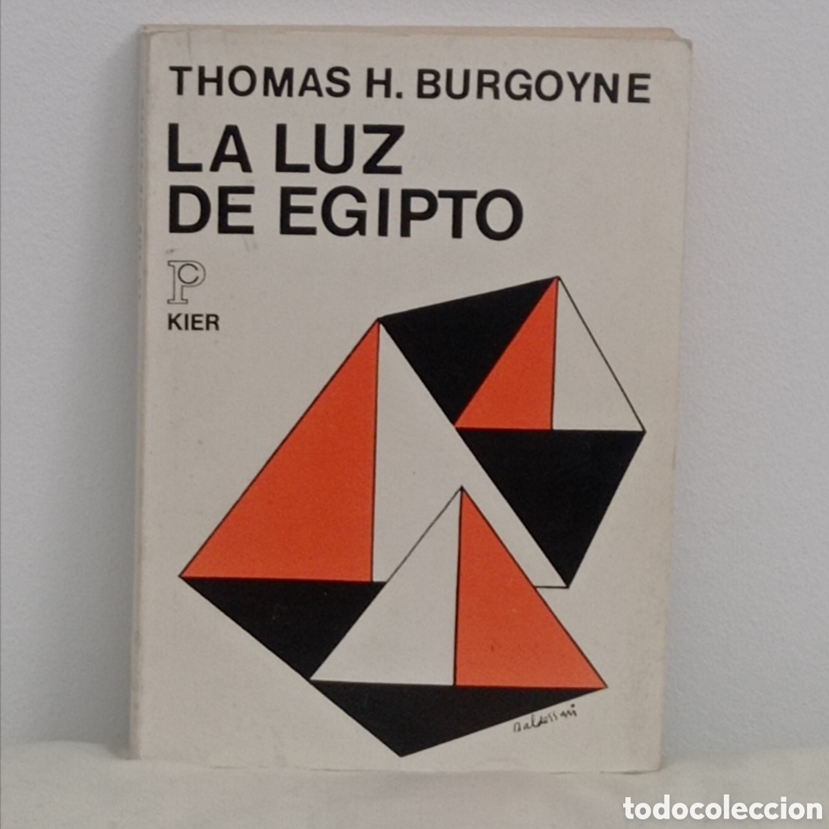 Libros de segunda mano: THOMAS H. BURGOYNE, LA LUZ DE EGIPTO Tomo II (KIER 2a ed 1978, ARGENTINA)