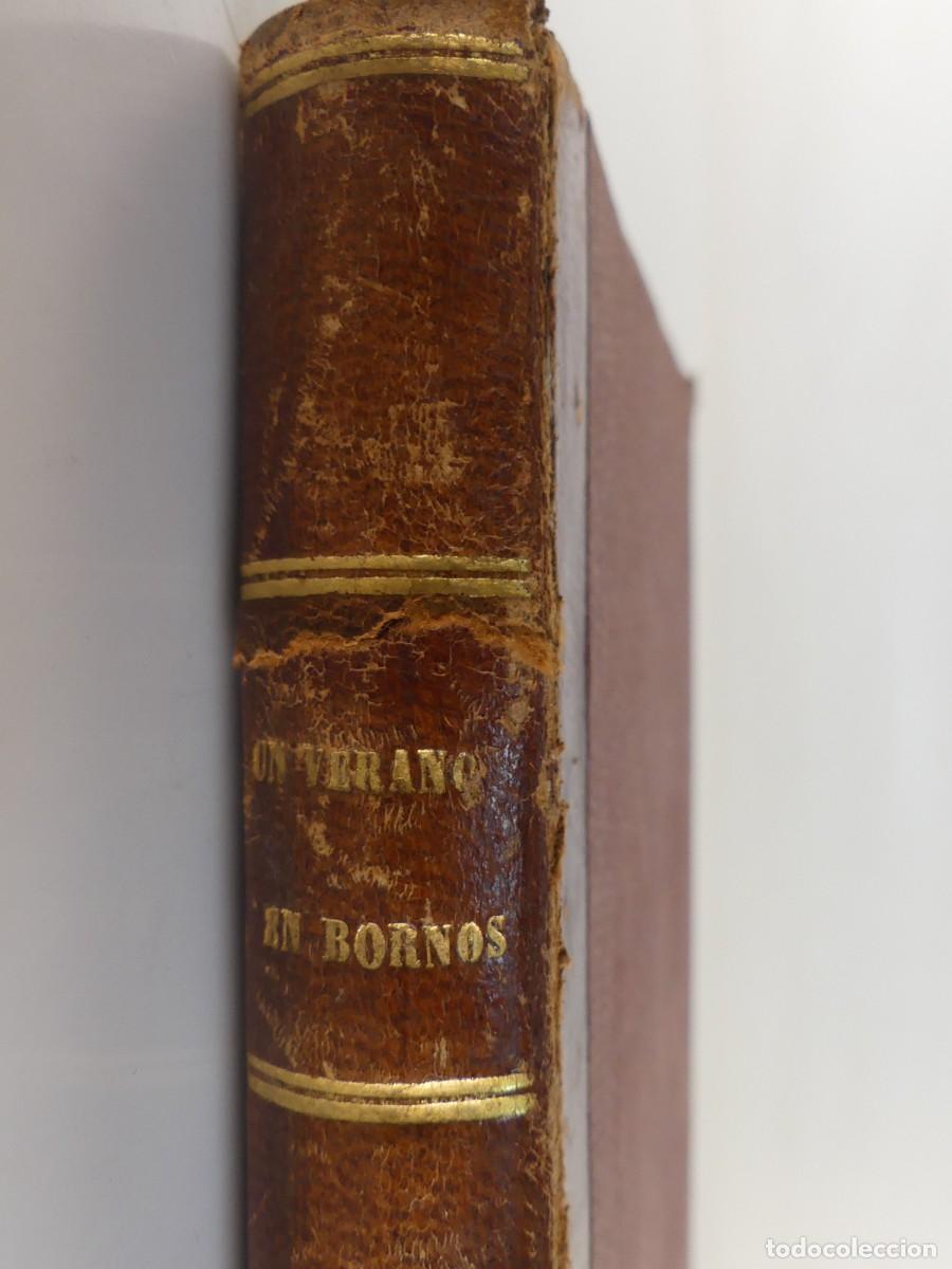 Libri di seconda mano: Libro Antiguo - Un Verano en Bornos - Fernan Caballero -A&ntilde;o 1858