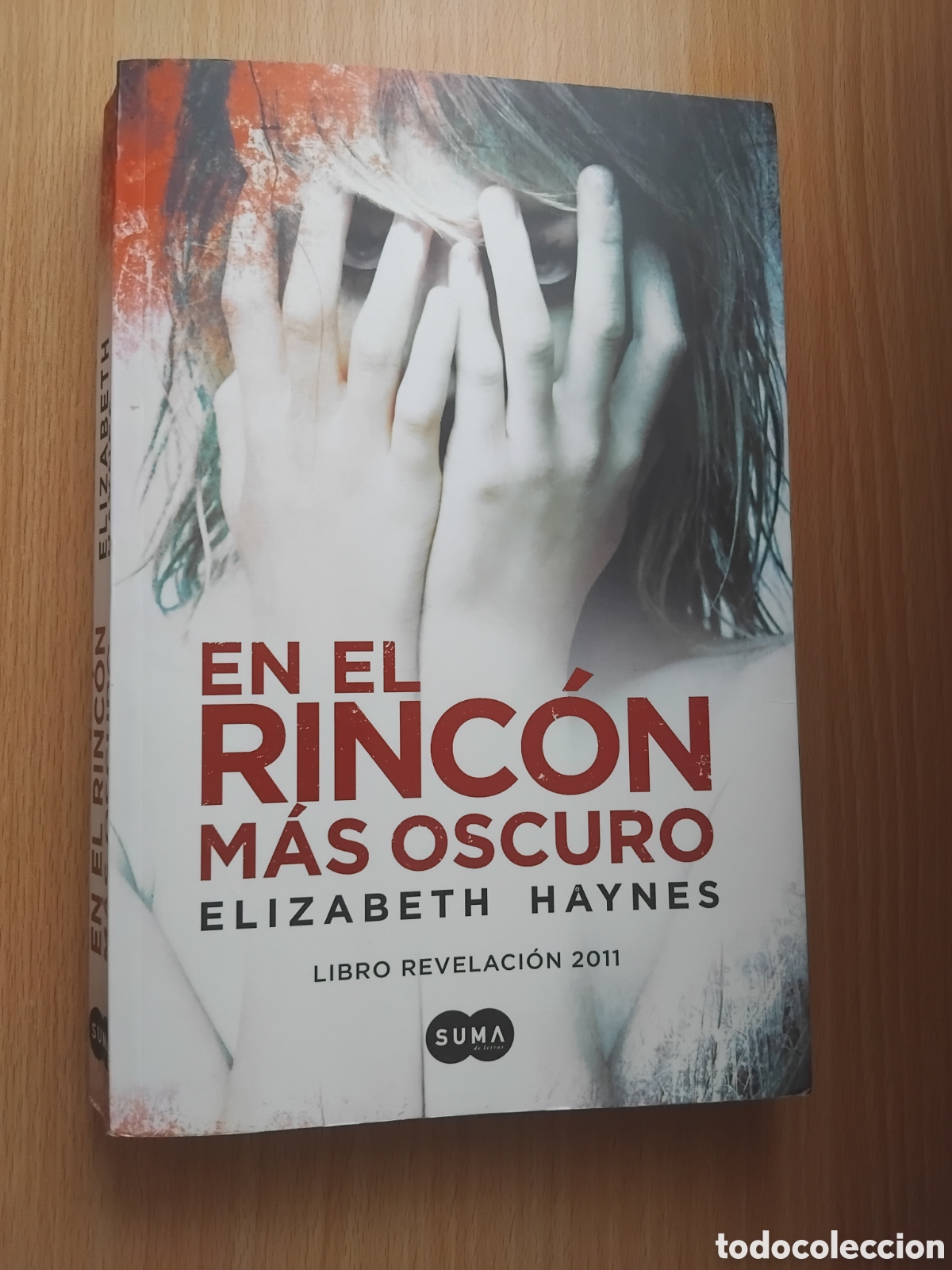 Gebrauchte B&uuml;cher: En el rinc&oacute;n m&aacute;s oscuro;Elizabeth Haynes;Santillana;2012