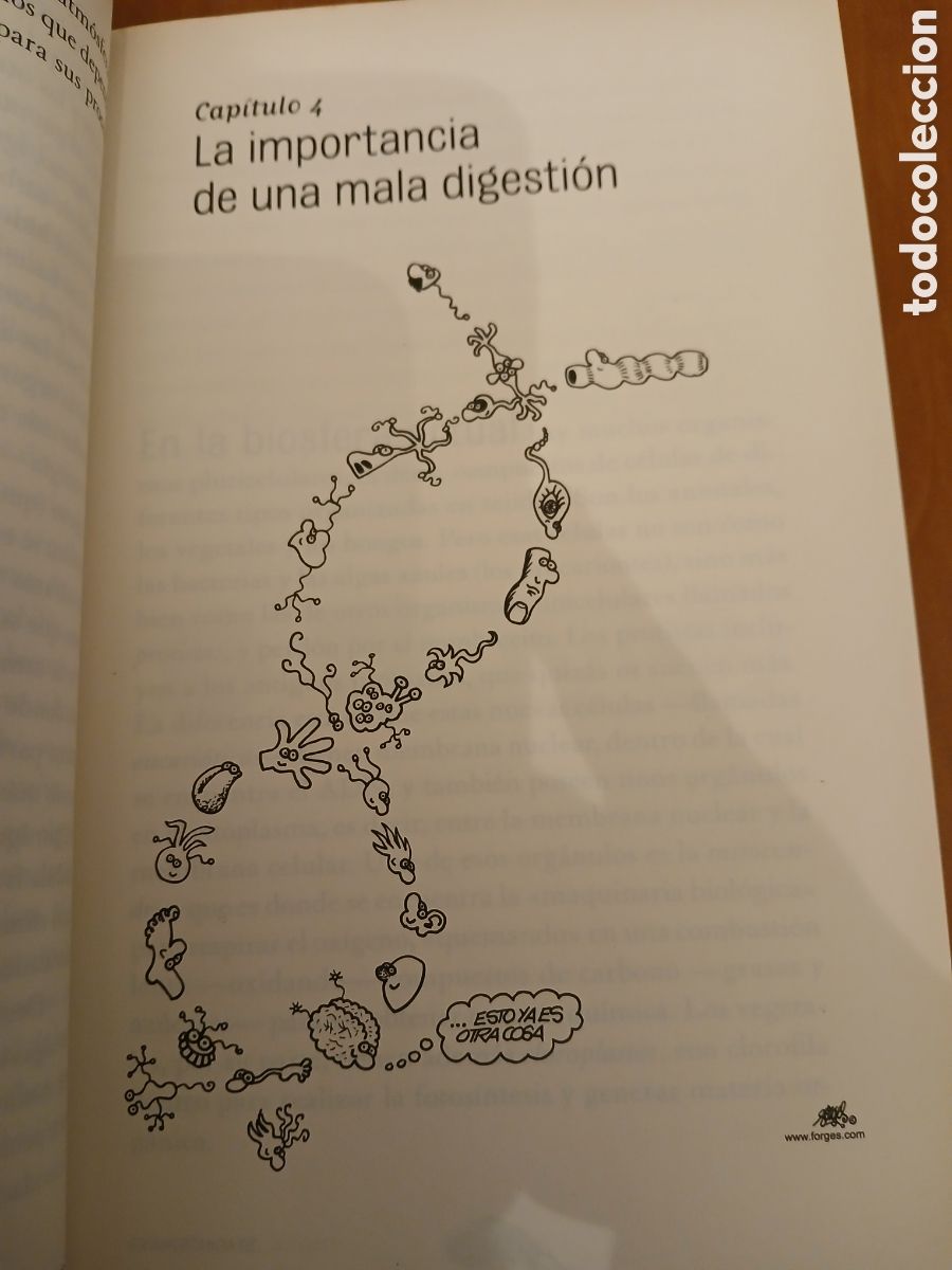 Libros de segunda mano: Elemental queridos humanos. Juan Luis Arsuaga, Forges. - Foto 6